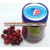 Freeze Dried Fruit Cranberry Dice Whole Powder