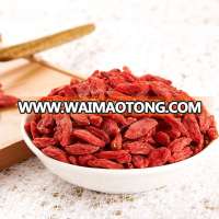 low price organic dried wolfberry