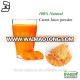 Carrot Juice powder, 100% natural