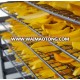 Vietnam HACCP/ISO/HALAL/FDA soft dried mango fruits